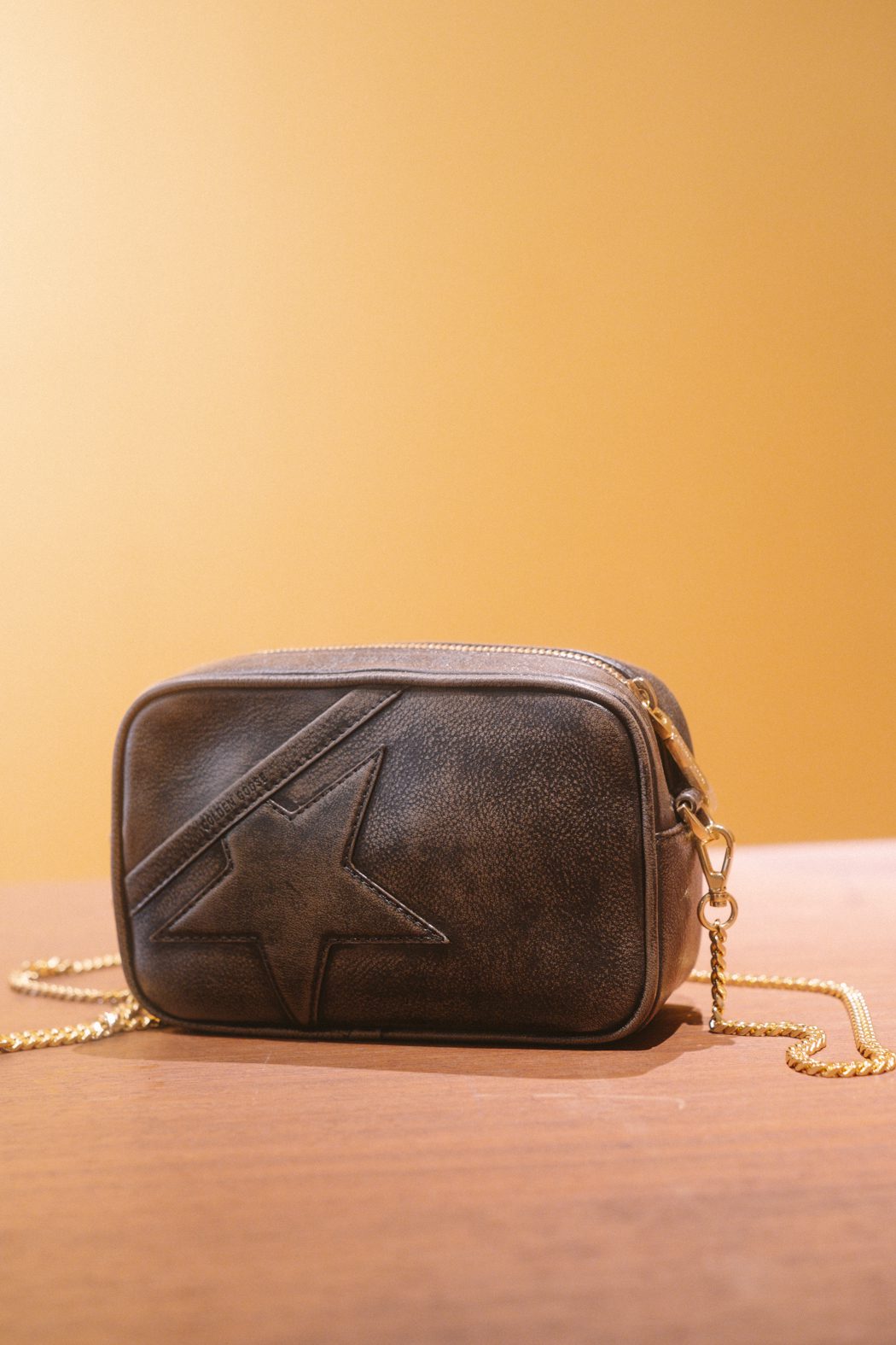 MIXING GOlden Goose Bags 9310